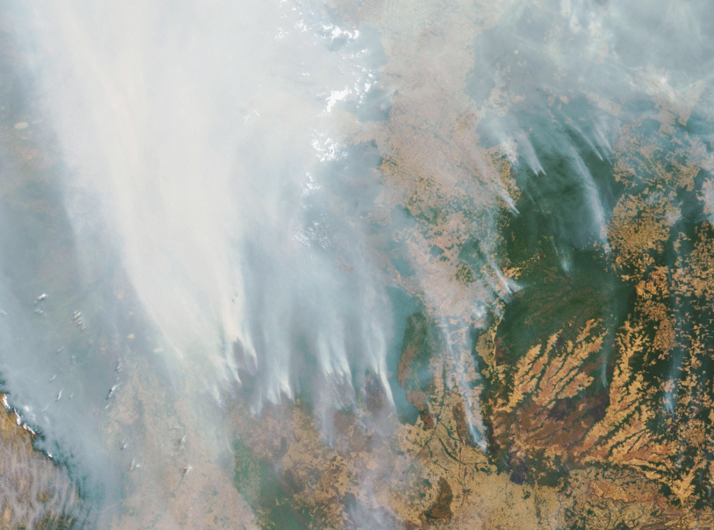 Imágenes satélite que capturan el ‘viaje’ del humo, autoría de la NASA Worldview: ​​​​​NASA imágenes​​​​​
